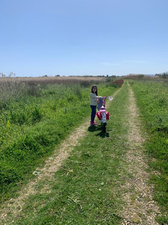 Agriturismoeloropizzuta Lido di Noto エクステリア 写真