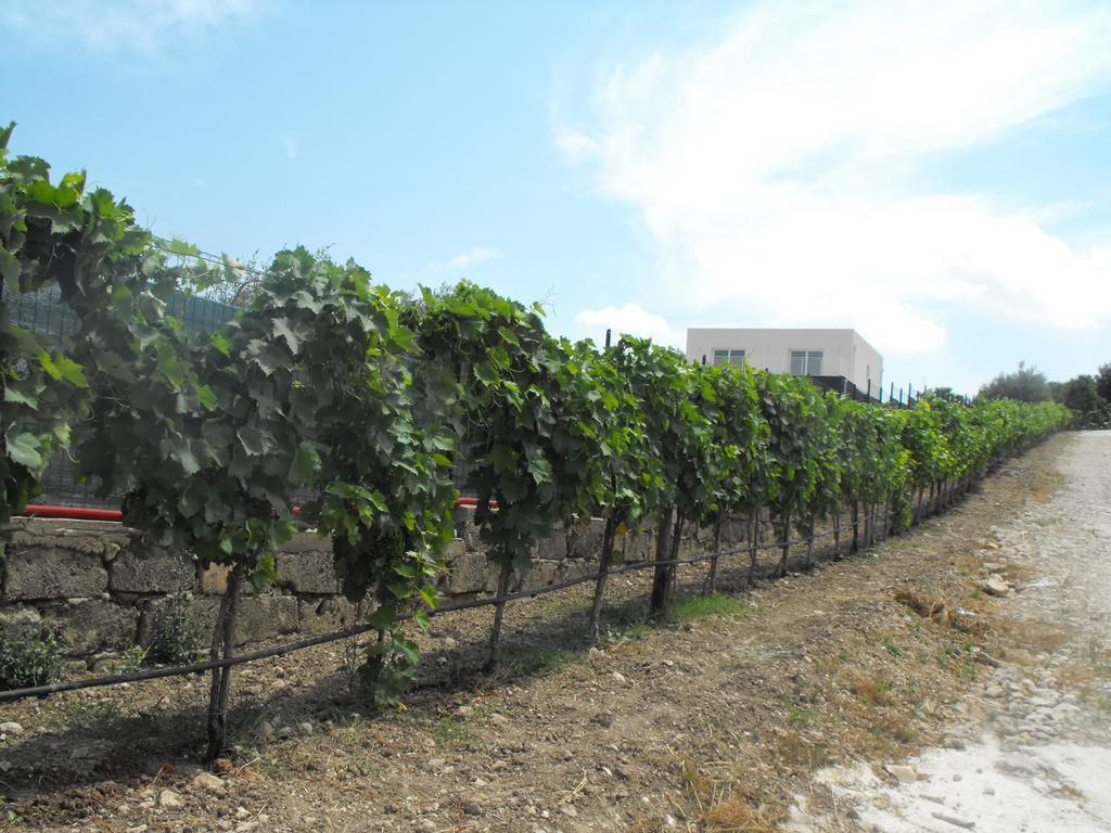 Agriturismoeloropizzuta Lido di Noto エクステリア 写真